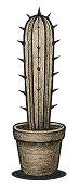 image cactus
