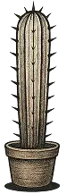 image cactus